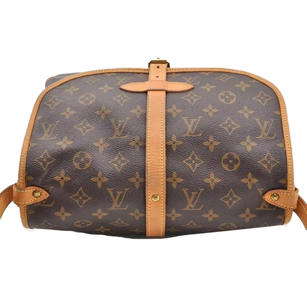 a brown and tan louis vuitton bag