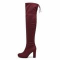 Women's wine burgundy over-the-knee stretch boot with side zip and chunky platform block heel side profile view white background