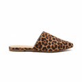 Leopard print slipper on a white background